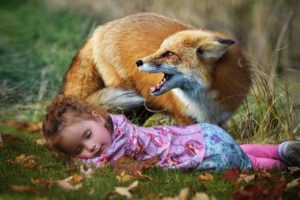 Parents were shocked when they found out how a fox paid them back for his salvation