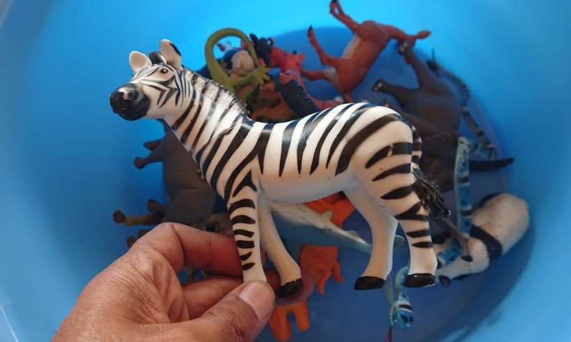 Plastic Animals Toys Unboxing Order Flipkart Donkey, Horse, T-rex, Dog, Cow, Snake, Giraffe...