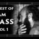 Ram Dass Full Lecture Compilation: Volume 1