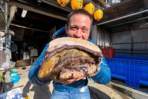 Record-Breaking ABALONE SASHIMI!! Freshest Japanese Food - Seafood Oyster Huts!!