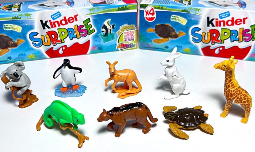 Sea Animals, Wild Animals, Natoons, Chameleon, Mountain Lion, Penguin, Koalas, Giraffes, Rabbit
