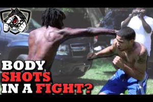 Should I Punch to the Body in a Street Fight?