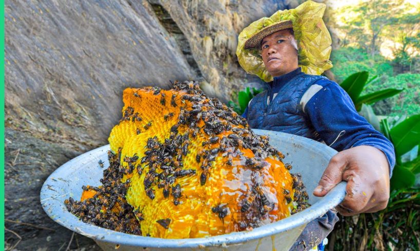 Surviving Nepal!! Street Food, Tribes & Mad Honey!!