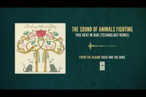 The Sound of Animals Fighting "This Heat In Dub (Technology Remix)"