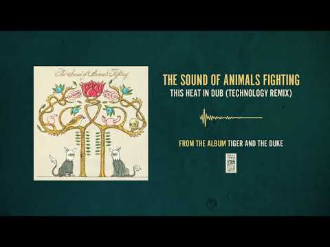 The Sound of Animals Fighting "This Heat In Dub (Technology Remix)"