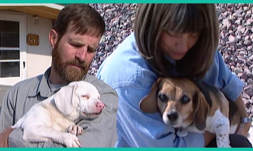 Visit A Disabled Animal Rescue Center In Montana
