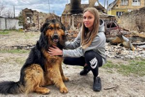 Watch What Happens when Betrayed German Shepherd Feels Love Again