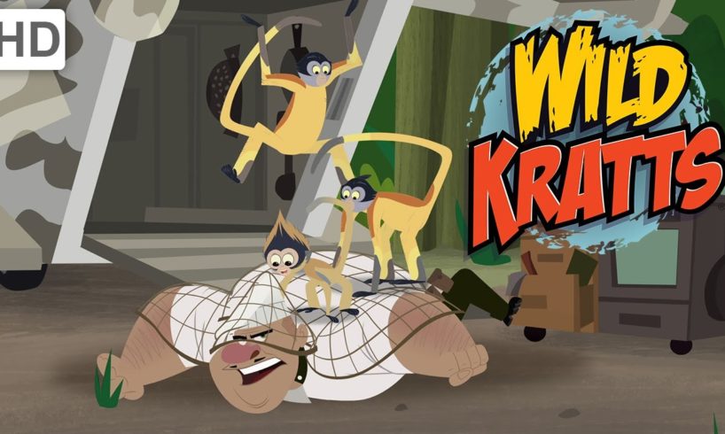 Wild Kratts - Animal Rescue Mission Activated!