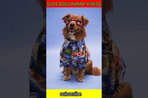 cute dogs|| puppy funny videos|| cutest dogs in world|| cute dogs clips #shorts #short #cute #viral