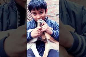 cute puppies with dog lover 🐶🐕#shorts #viral #doglover #streetdog #pleasehelpfor1k #puppylove