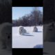 cutest puppies playing in the snow#funny#youtubeshorts#128