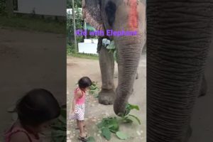 kid playing with elephant #ytshorts #ytshort #yt #elephant #anime #animals #🐘 #nature