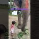 kid playing with elephant #ytshorts #ytshort #yt #elephant #anime #animals #🐘 #nature