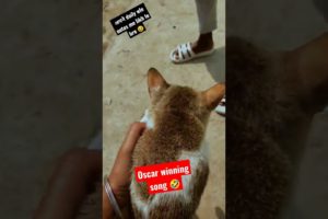 mine cat 😺🥵 !! koi accha sa name suggest kr do 🤭!! #shorts #viral #video