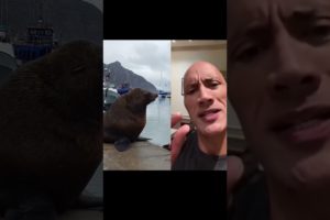 people are awesome 😱💯 #2