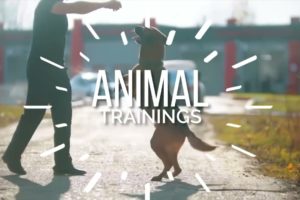 watch Amazing and educative videos.