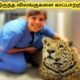 விலங்குகளை காப்பாற்றியவர்கள் || Six Amazing Animal Rescue || Tamil Info News