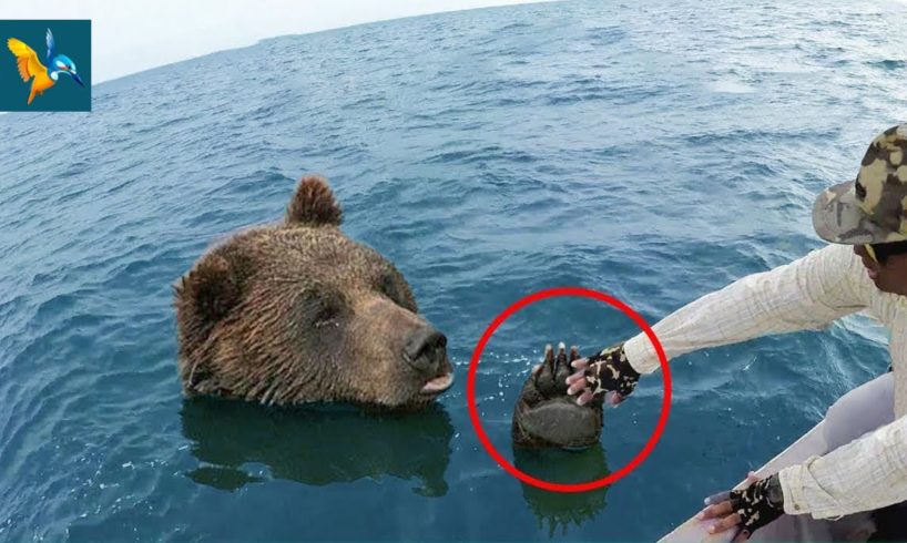 21 Animal Rescues That Will Make You Cry | Best Animal Rescues Videos