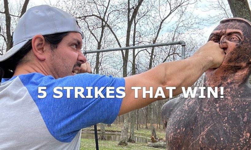 5 BRUTAL KALI HAND STRIKES That WIN STREET FIGHTS Every time! Filipino Martial Arts