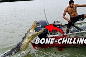 5 TERRIFYING Encounters Between Crocodiles And Humans