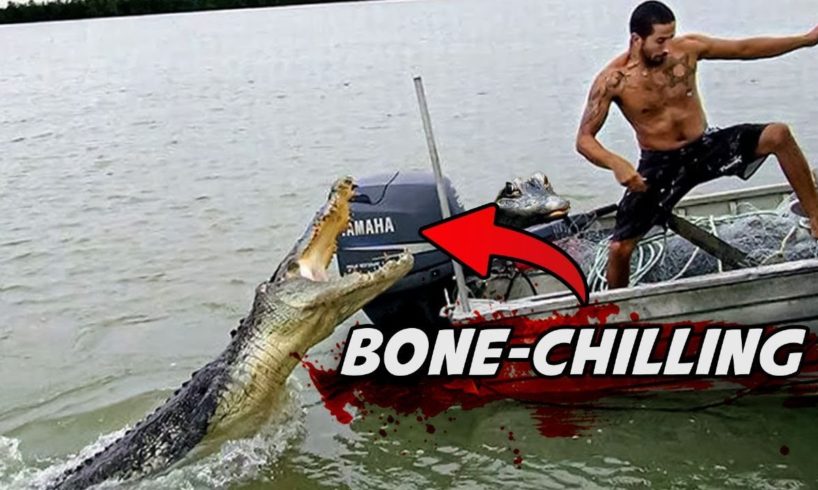 5 TERRIFYING Encounters Between Crocodiles And Humans