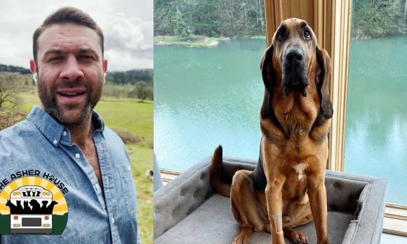 An unfortunate conversation about the animal rescue world, but we must have it | The Asher House