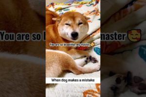 🤣Animals Going Funny Make Laugh Easy🥰 | Animals LOL Moments #funnyanimals #shorts