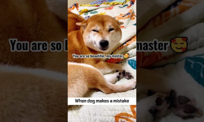 🤣Animals Going Funny Make Laugh Easy🥰 | Animals LOL Moments #funnyanimals #shorts