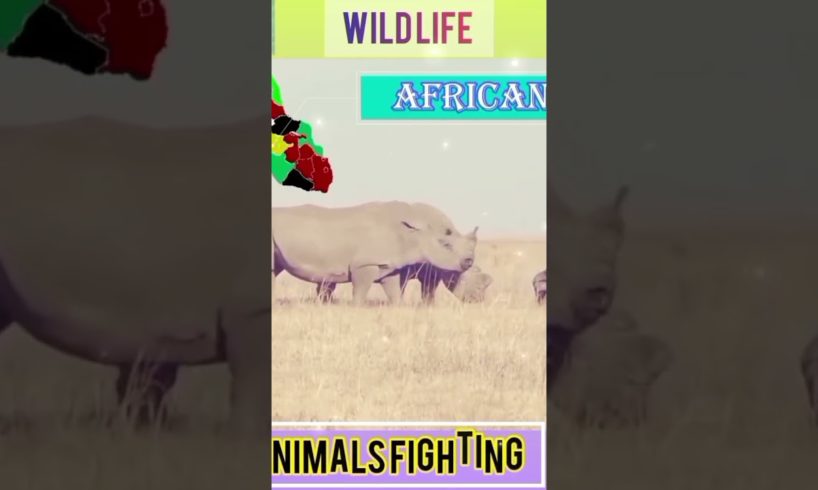 Animals fighting P-2#shorts #lion #tiger #snake #eagle #wildlife