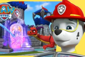 Chase & Marshall Animal Rescues Marathon +MORE 🐘 PAW Patrol Cartoons for Kids