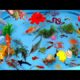 Collection of Cute Animals, Sea Animals, Sharks, Goldfish, Swordfish, Crab, Turtle, Octopus, Duck