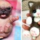 Cute baby animals Videos Compilation cute moment of the animals #4 Cutest Animals 2023