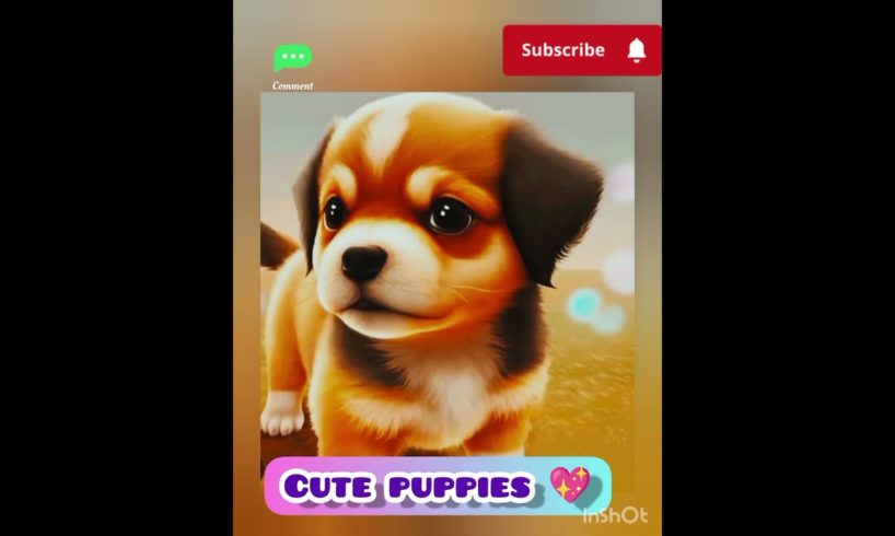 Cute puppies 💝😍❣️#youtubeshorts #trending #shorts #puppy