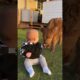 Cutest Babies Play With Animals 🤣😂👏❤️