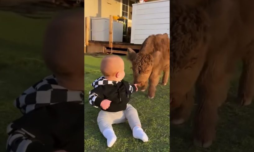 Cutest Babies Play With Animals 🤣😂👏❤️