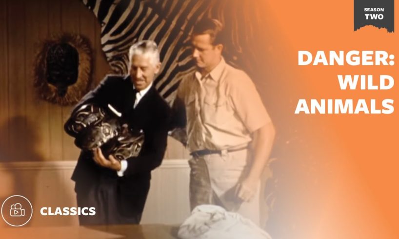 Danger: Wild Animals | Mutual of Omaha's Wild Kingdom