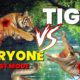 Dangerous Wildlife Attacks Simulation | Tiger attack | Animal Fights | #wildlife #trending #viral