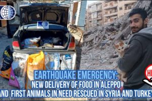 EARTHQUAKE EMERGENCY: DISTRIBUTED FOOD IN ALEPPO AND FIRST RESCUE ACTIVITIES IN TURKEY AND SYRIA