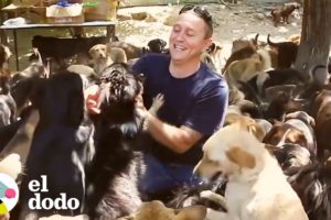 Este hombre salvó a más de 1700 perros abandonadosé | Dodo Héroes | El Dodo