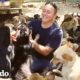Este hombre salvó a más de 1700 perros abandonadosé | Dodo Héroes | El Dodo
