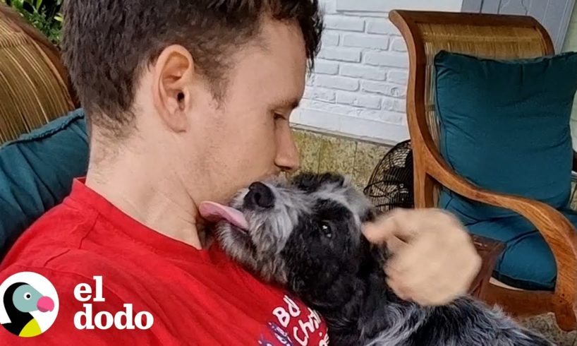 Este perro es irreconocible ahora 😱 | El Dodo