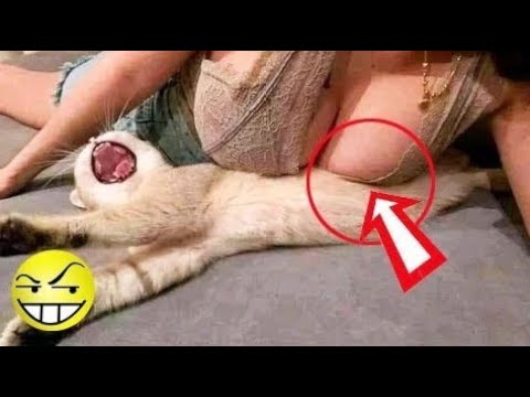 Fails Of The Week / Funny Moments / Like A Boss Compilation # 105