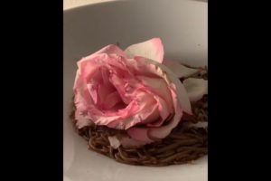 Fails Of The Week: Worms VS Rose (10 hours but nothing 😑🙄) 🐛🌹