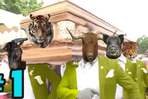 Funniest ANIMAL FIGHTS ⚰ Wild Animals Attack Meme Compilation 2021 | COFFIN DANCE MEME  #1