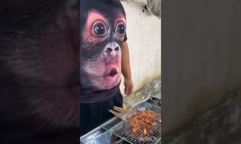 Funny Fails? Fails of the Week 😂 Funny Videos #memes