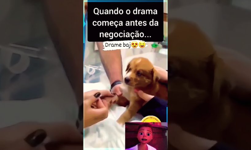 Funny puppy 😂|| Cute Puppies video || Funny puppy video😂🤣#shorts #youtubeshorts
