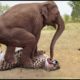 Herd Of Elephants Rescues Baby Monkey From Leopard Hunting || Wild Animal Attack