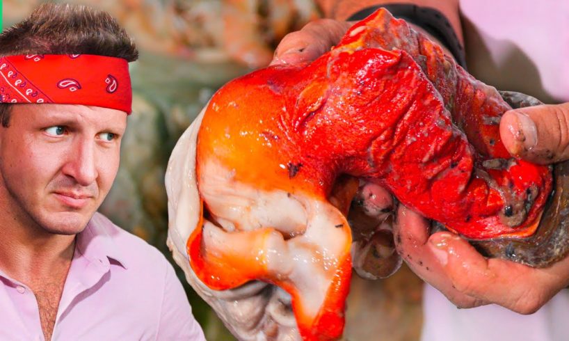 I Bought Illegal Seafood in Mexico!! Becoming a Criminal!!