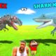 KING SHARK vs TEX REX to rescue THOR HYDRA in Animal Revolt Battle Simulator | SHINCHAN and CHOP