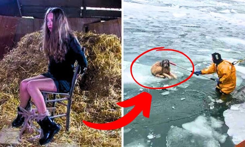 Man Spots Stray Dog Frozen, RESCUES HIM & MAKES A DANGEROUS DISCOVERY WHEN IT LED HIM TO IT’S HOUSE